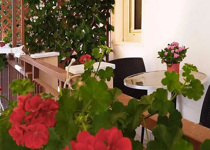 Solaris B&B